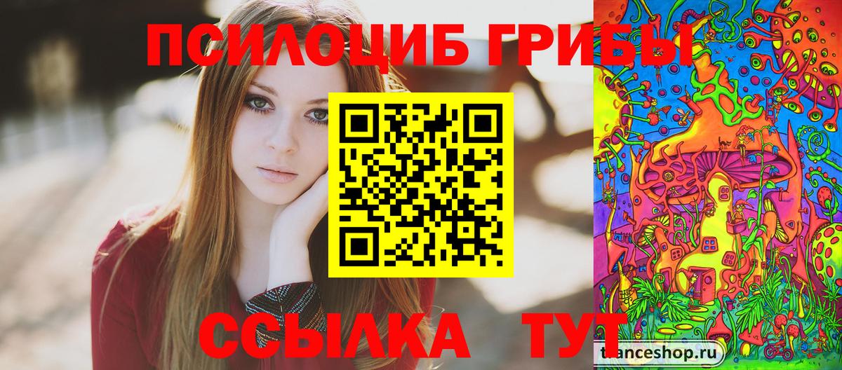 Псилоцибиновые грибы мицелий  Вход с VPN  Челябинск 